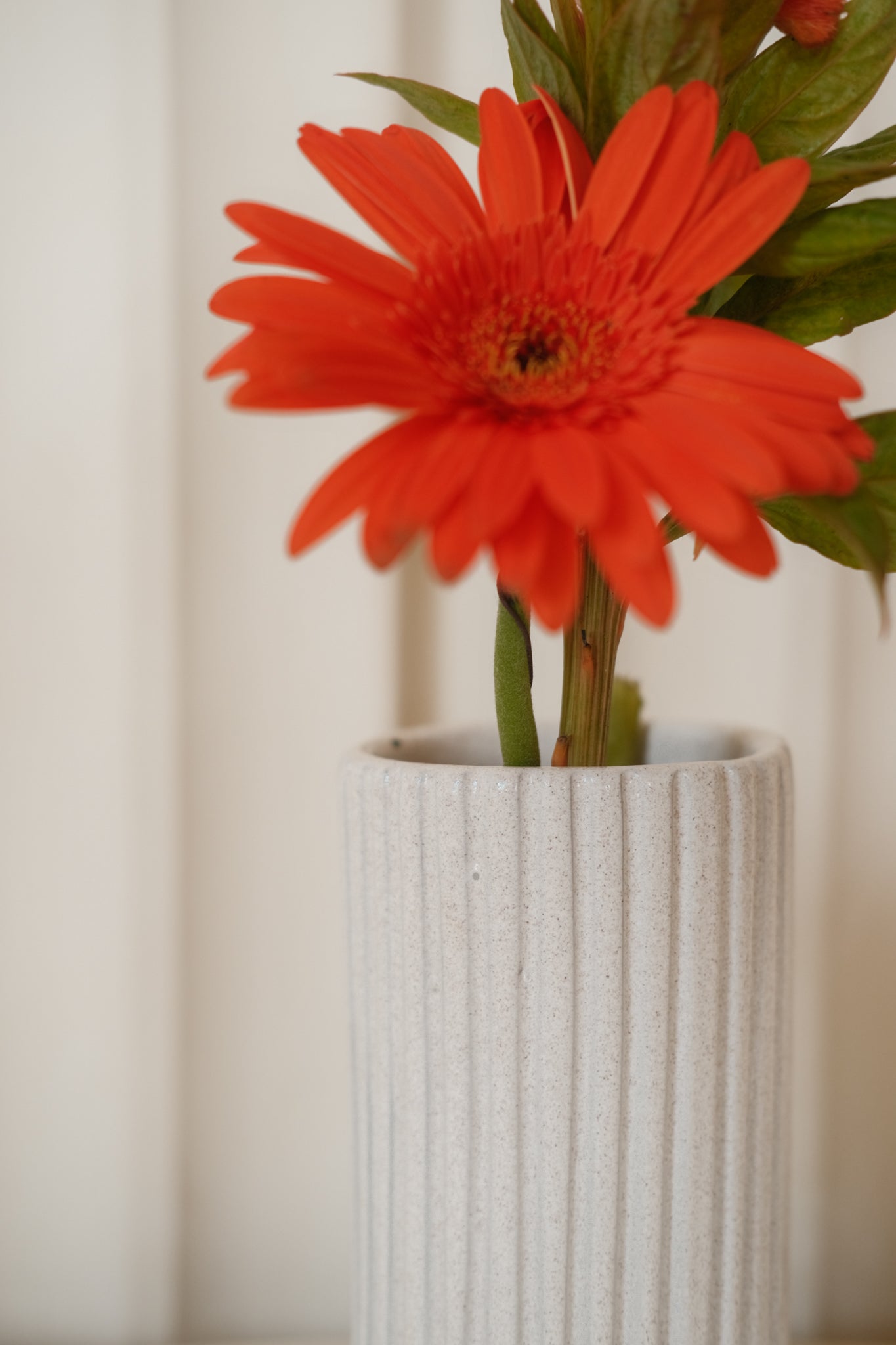 Stria Vase