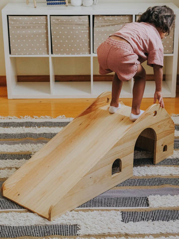Playhouse Slide