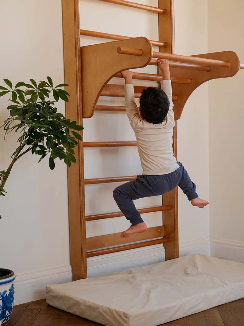Swedish Ladder