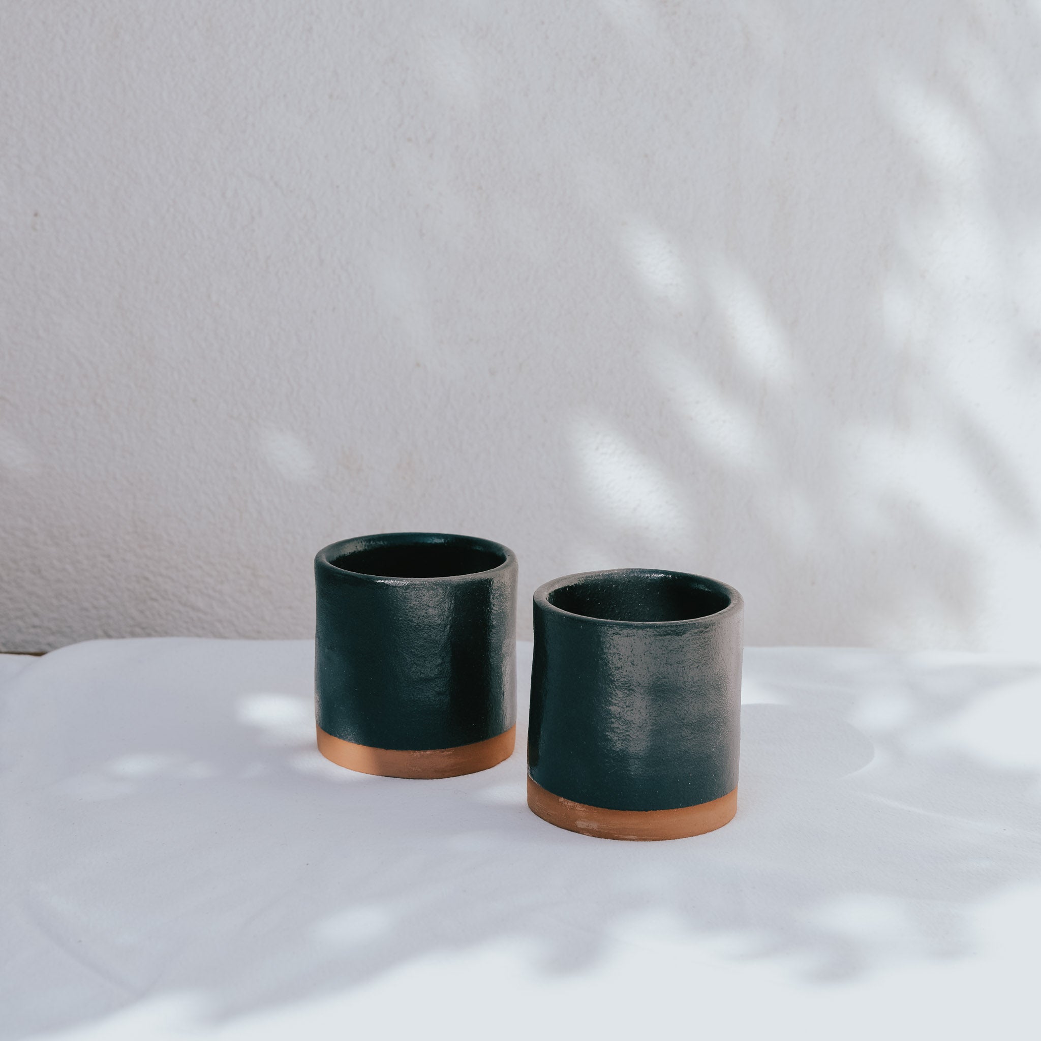 Rimmed Cup