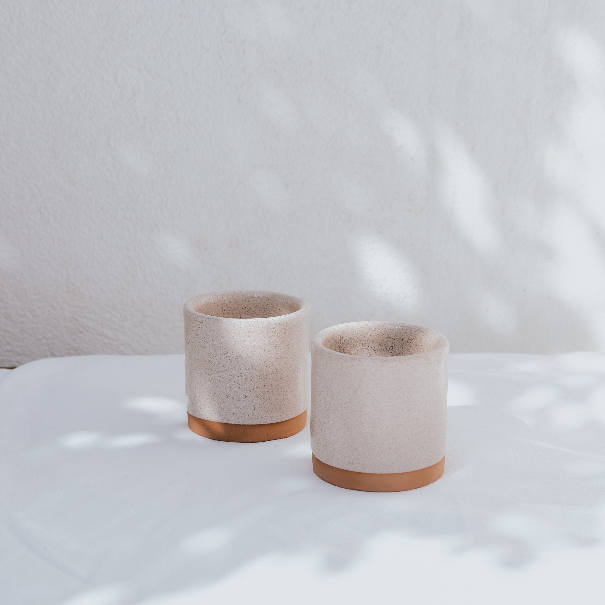 Rimmed Cup