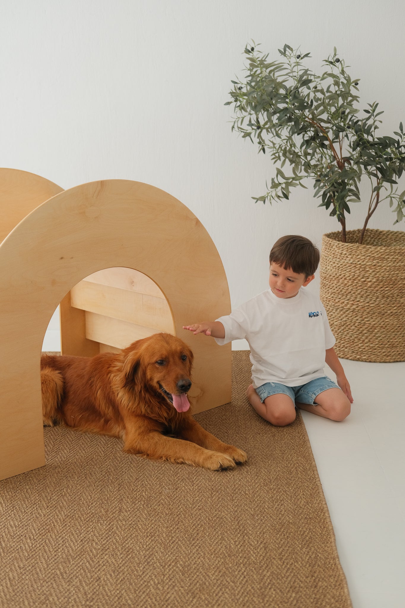 KidCove