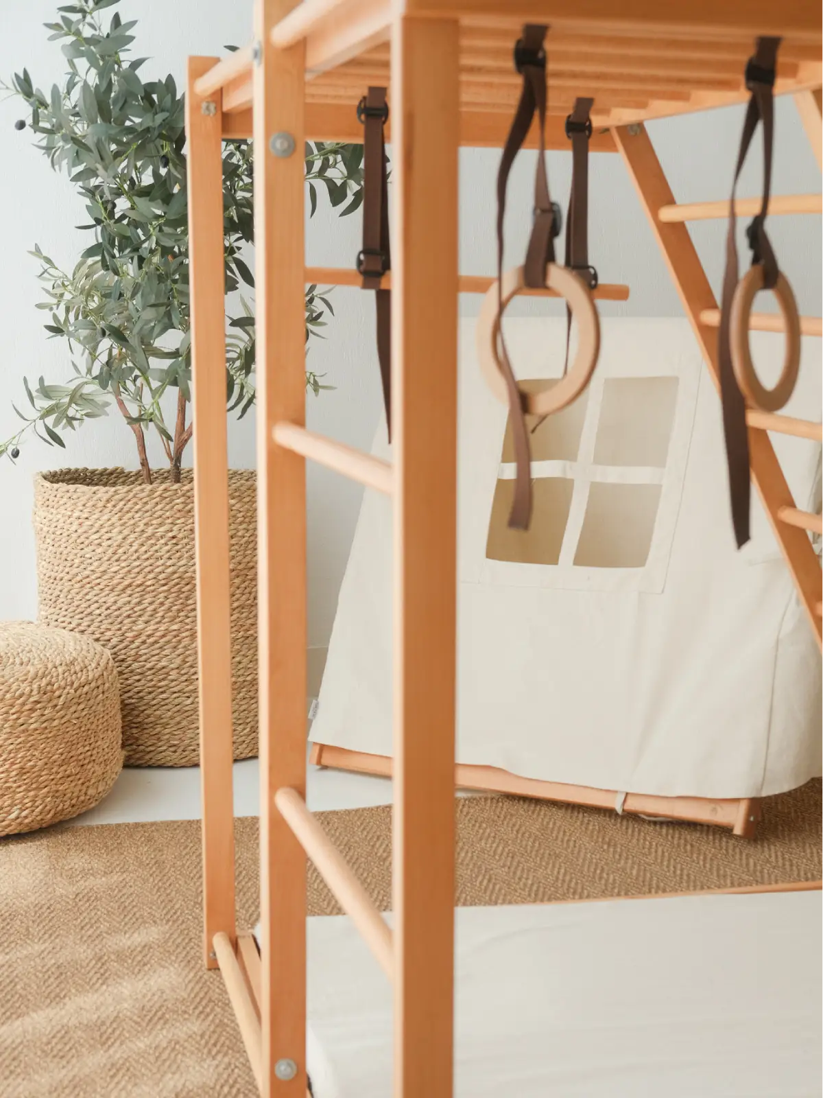 Adventure Tent Gym