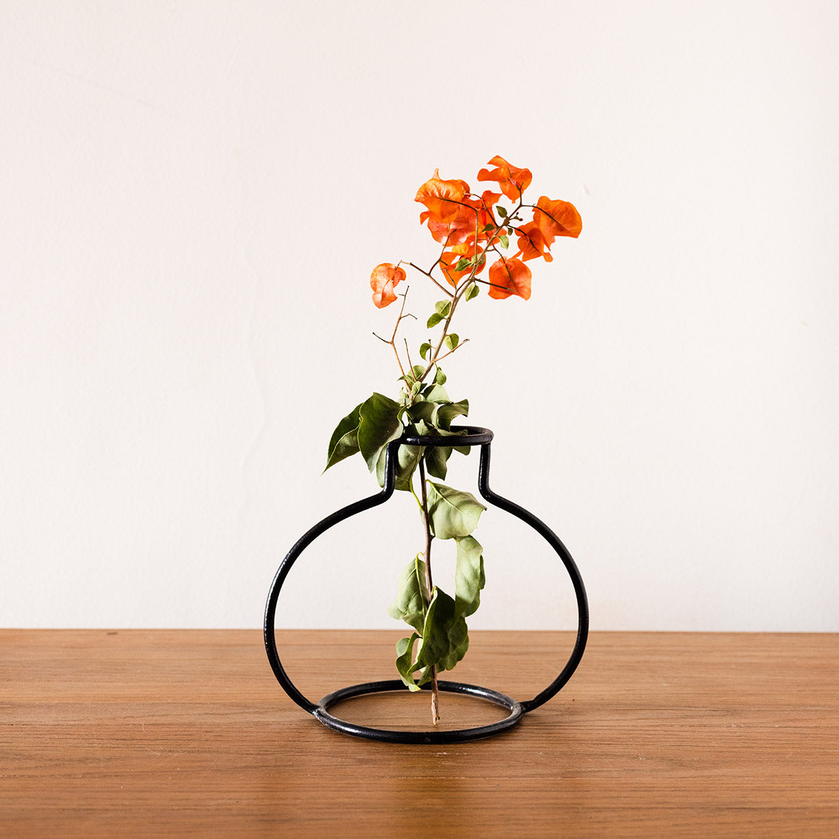 Outline Vases