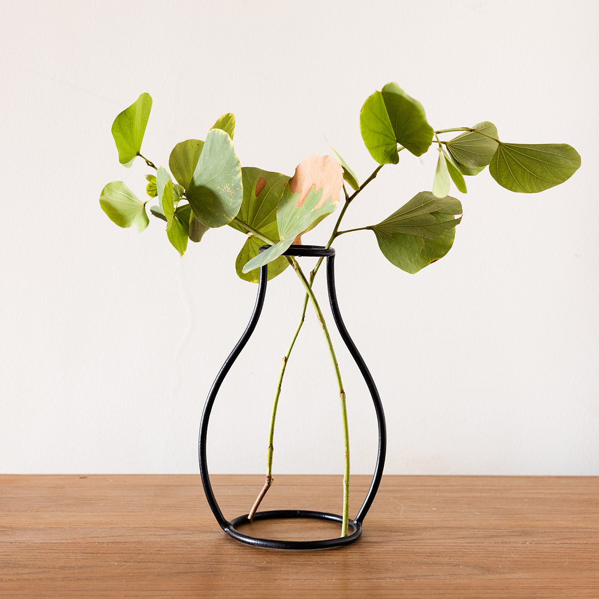Outline Vases
