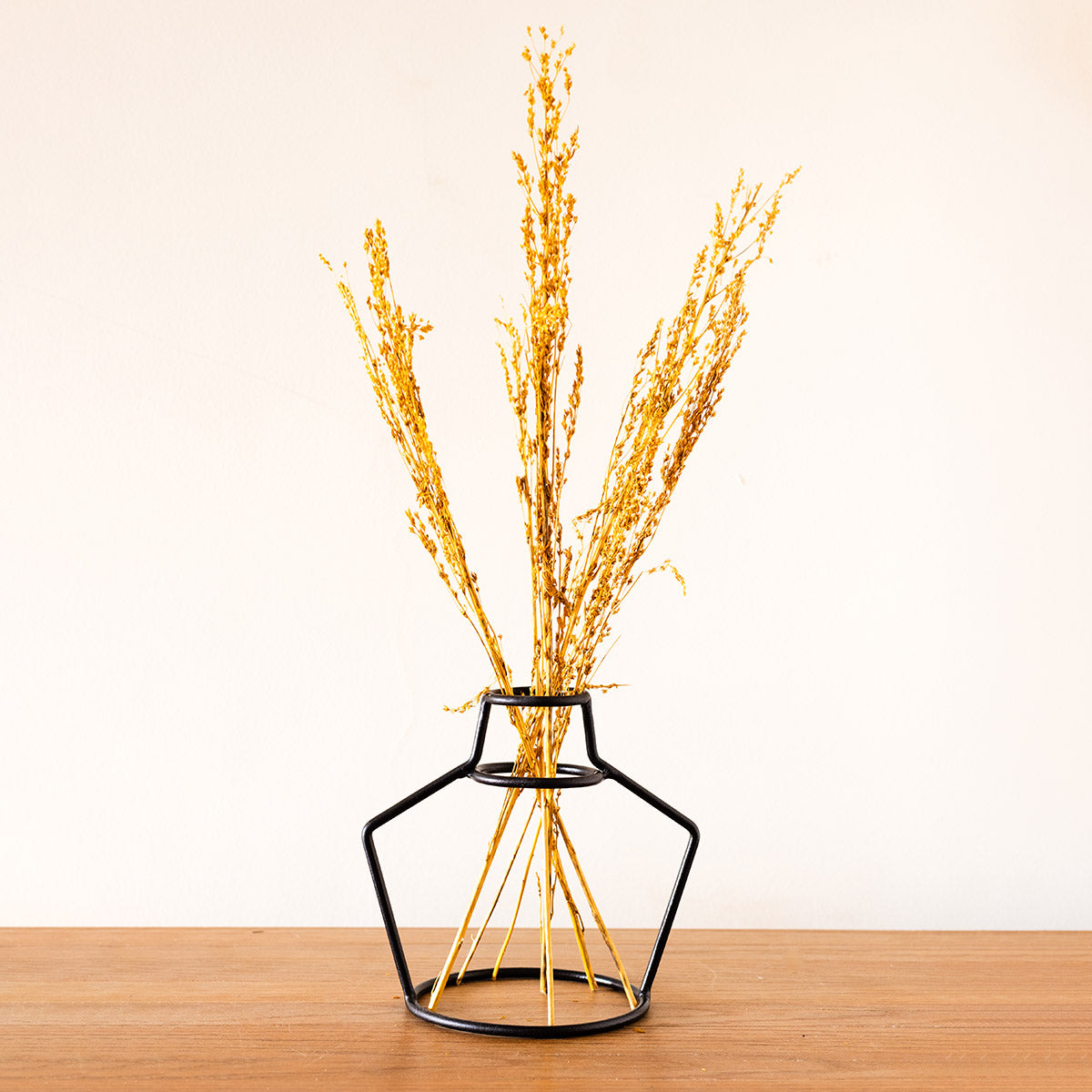 Outline Vases
